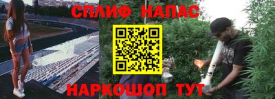 твердый Будённовск