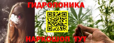 твердый Будённовск
