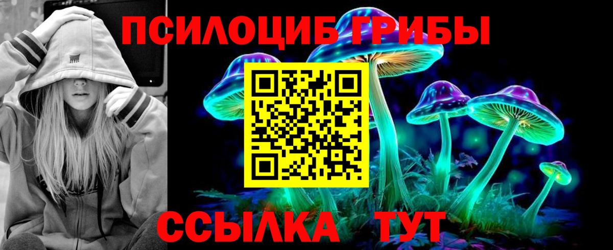 Галлюциногенные грибы мицелий  Вход с VPN  Нововоронеж 